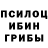 Псилоцибиновые грибы Psilocybine cubensis Marynelly Boebel